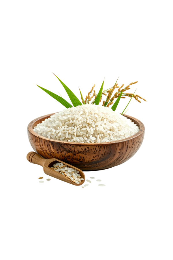 Rice